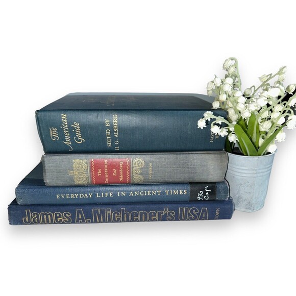 Vintage Decorative Books Shelf Staging Props Home Decor Set: BLUE OLD TONES - Picture 9 of 12